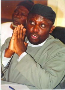 Okorocha1-217x300.jpg