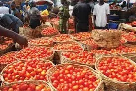 tomato.webp