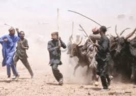 herdsmen attack.jpg