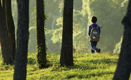 Japanese lost in forest.jpg