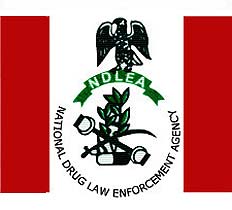 NDLEA-1.jpg