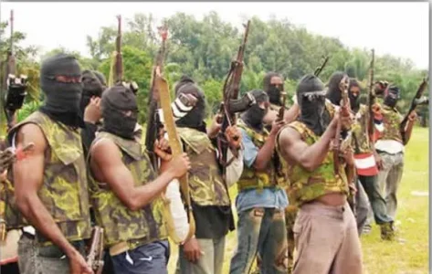 nigerDelta.webp