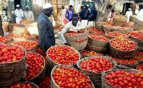 tomato 2.webp