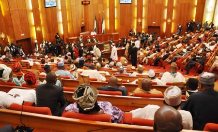 Nigeria-senate-at-a-plenary-session.jpg
