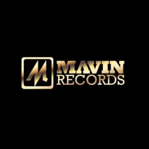 mavin record.jpeg