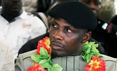 tompolo.webp