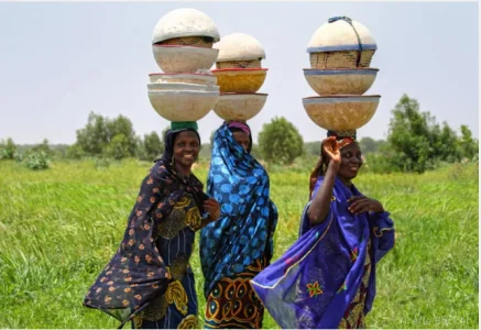 fulani milk maids.PNG