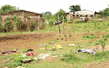 Ibadan-evil-forest1-360x225.jpg