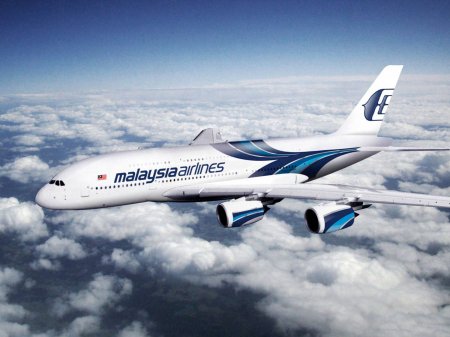 malaysian airline.jpg