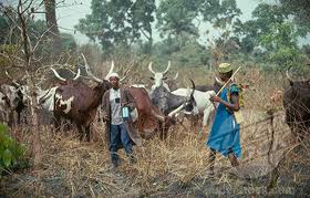 fulani herdsmen.jpg