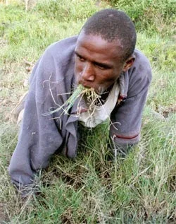 grass eater.webp