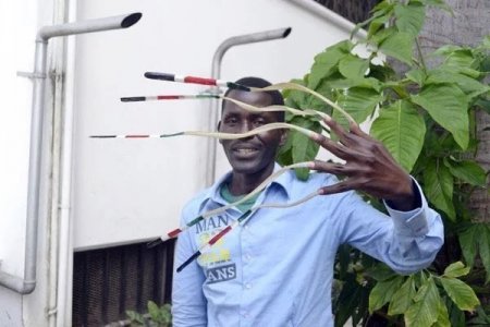 You've nailed it! Man who hasn't cut his fingernails since 1952 wins record  for longest ever - The Standard Entertainment