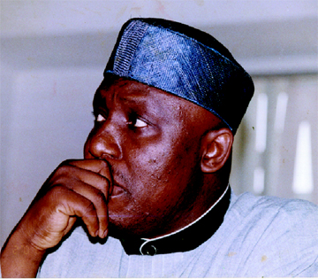 Rochas-Okorocha4.jpg