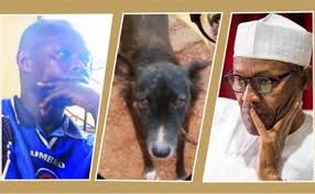 buhari dog.jpg