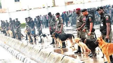 sniffer dogs police.webp sniffer dogs police.webp
