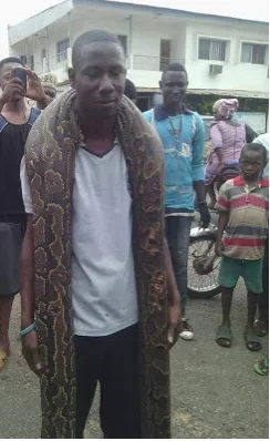MAN SNAKE 1.webp