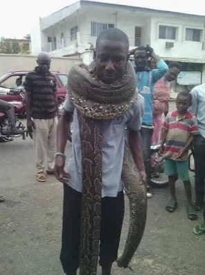 MAN SNAKE 3.webp