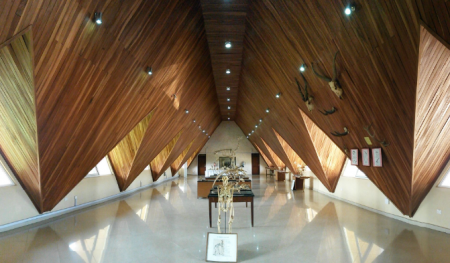 oau museum 2.PNG