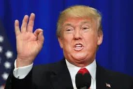 donald t.webp