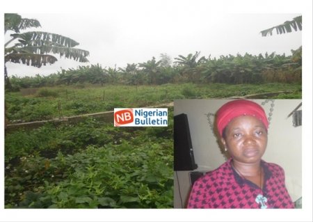 The piece of land at Adeojo Area, Isheri-osun, Lagos Inset Mrs. Nneka Okoli.jpg
