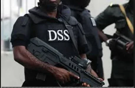 dssa.webp