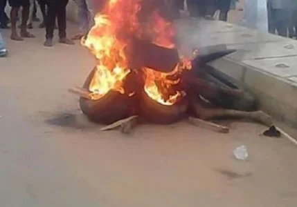 benue kidnapper 4.webp