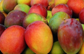 Japanese-mangoes.jpg