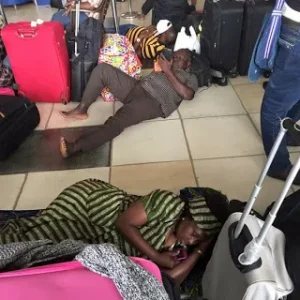 arik sleep 1.webp arik sleep 1.webp