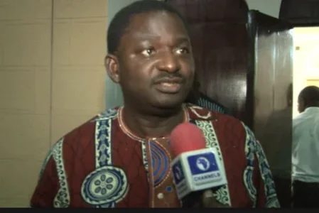 femi adesina 2.PNG