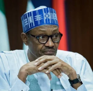 buhari mohammadu.webp