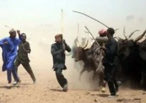 herdsmen attack.jpg