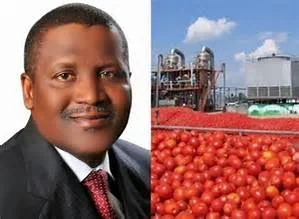 aliko dangote2.jpg