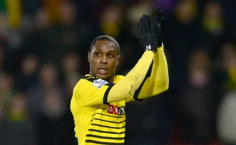 IGHALO.webp