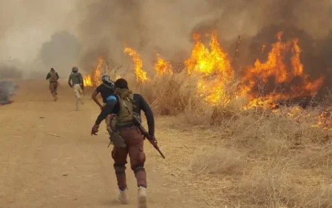nigeria army4.webp