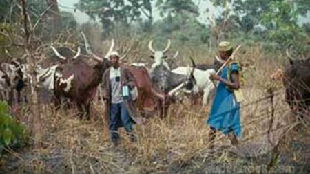 fulani herdsmen.jpg