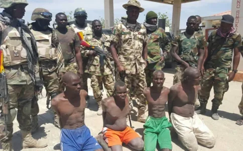boko commanders.webp