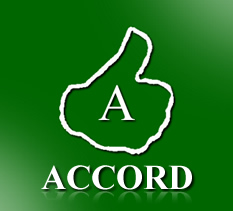 Accord-Party2.jpg