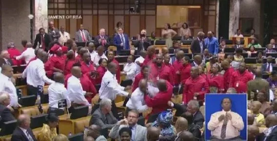 south african mps.webp south african mps.webp