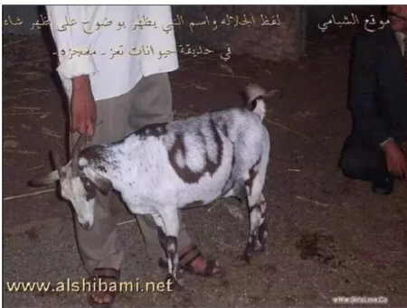 allah's goat 1.PNG