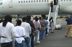 deportee.webp