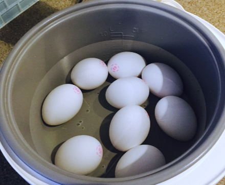 BOILED EGGS.PNG