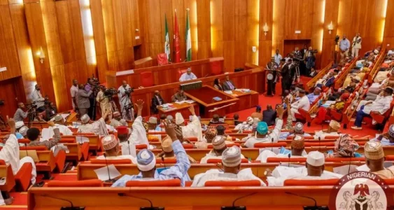 nigerian senate.webp