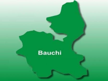 BAUCHI STATE 2.jpg