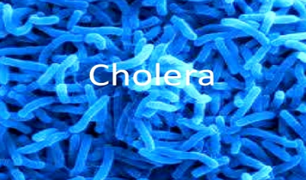 cholera.PNG