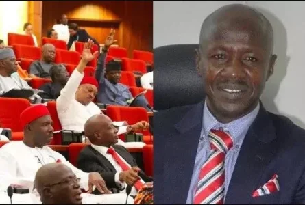 magu and Senate.JPG