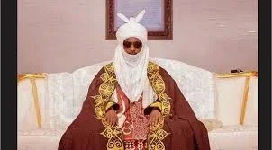 Emir Sanusi.webp