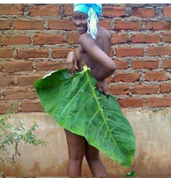 leaf girl b.PNG