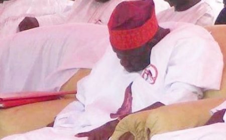 Ganduje Sleepinh.JPG