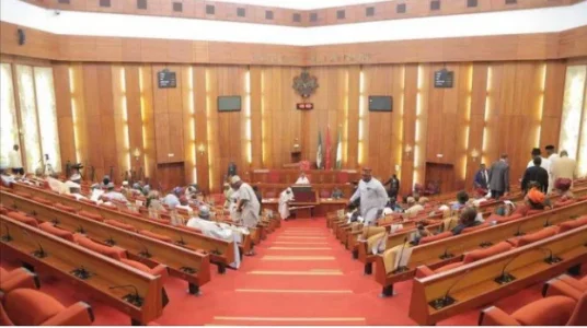 nigerian senate.webp