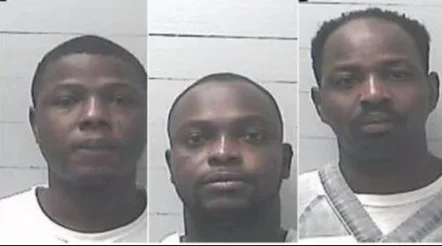 jailed.webp